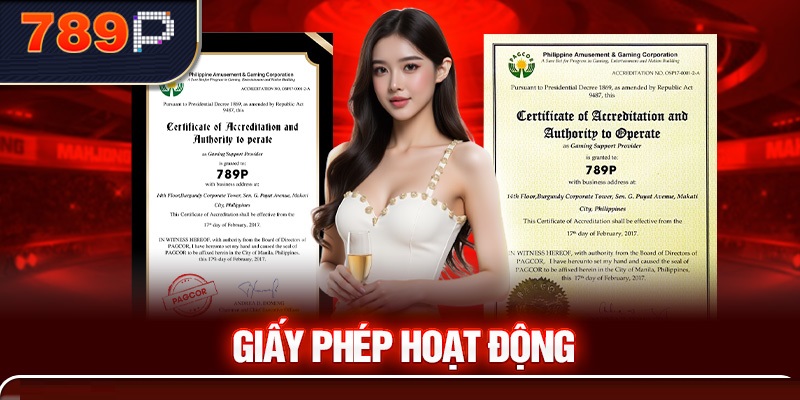 Giới thiệu đôi điều về giấy phép kinh doanh 789P