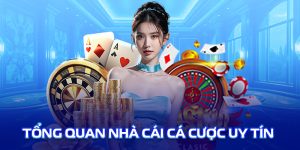 Top 5 Nhà Cái Xanh Chín Nhất